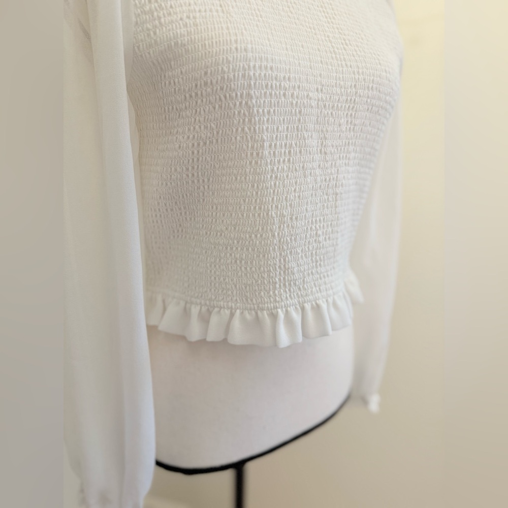 🌾 Aritzia Sheer Puff Long-sleeved Wilfred Tempest Blouse - Picture 5 of 6